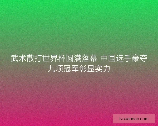 武术散打世界杯圆满落幕 中国选手豪夺九项冠军彰显实力