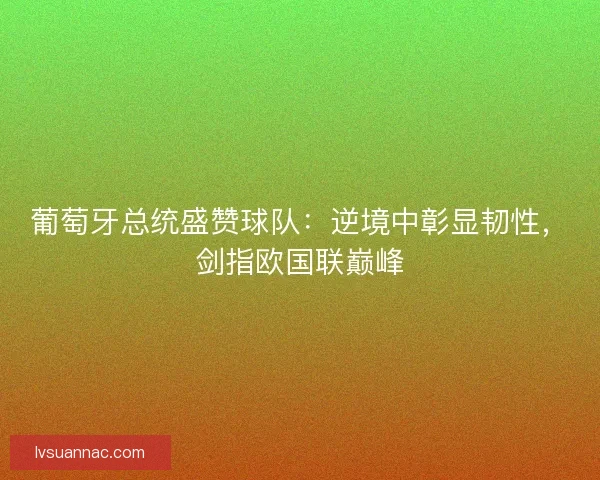 葡萄牙总统盛赞球队：逆境中彰显韧性，剑指欧国联巅峰